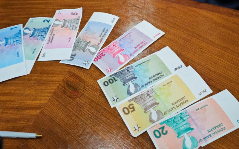 Zimbabwe’s ever-changing currency: A timeline of monetary shifts